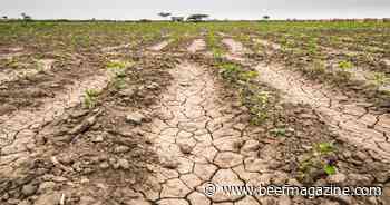 USDA begins issuing $1.75b through emergency relief programs