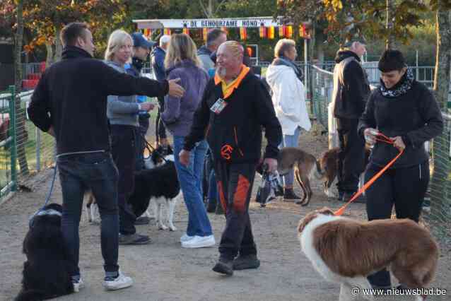 Hondenschool De Gehoorzame Hond haalt 1.500 bezoekers naar Belgisch Kampioenschap