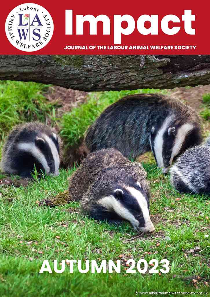 Impact magazine: download the LAWS journal now