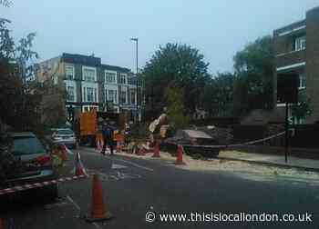 Kentish Town tree topples as Storm Agnes makes landfall