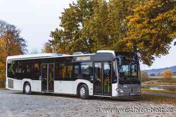 Straßen gesperrt: Diese Baustellen gibt's im Kreis Höxter in den Herbstferien