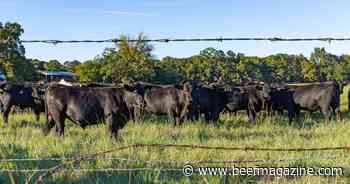 Be one step ahead of respiratory disease this fall