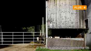 Tierschutzverstöße: Landwirt aus Meßhofen muss Bestand auflösen