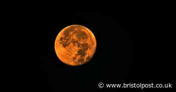 Harvest Moon: When can you see it and why is it called that?