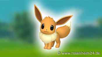 Pokèmon GO: Das sind die stärksten Evoli Entwicklungen