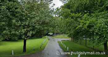 Man arrested over 'indecent exposure to Hedon dog walker'