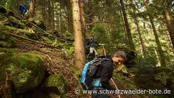 Gemeinderat stimmt zu: Bad Herrenalb zahlt doch mehr für Albtal Plus