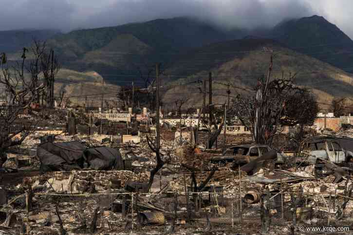 First congressional hearing on Maui wildfire to focus on island's sole electric provider and grid