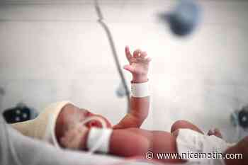 Déjà au plus bas en 2022, le nombre de naissances continue à reculer depuis le début 2023