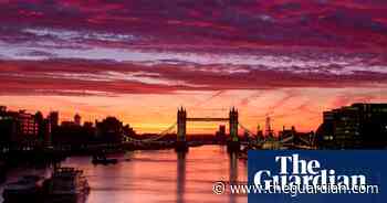 Golden geese and a lounging lizard – readers’ best photos