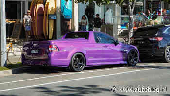 Gespot – Een kneiterdikke Ute in zijn thuisland