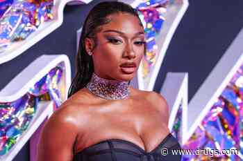 Megan Thee Stallion Urges Fans to 'Check on Friends' for Mental Health