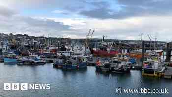 Consultation amid low crab and lobster numbers