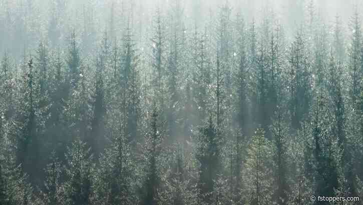 The Importance of Repetition and Perseverance in Landscape Photography