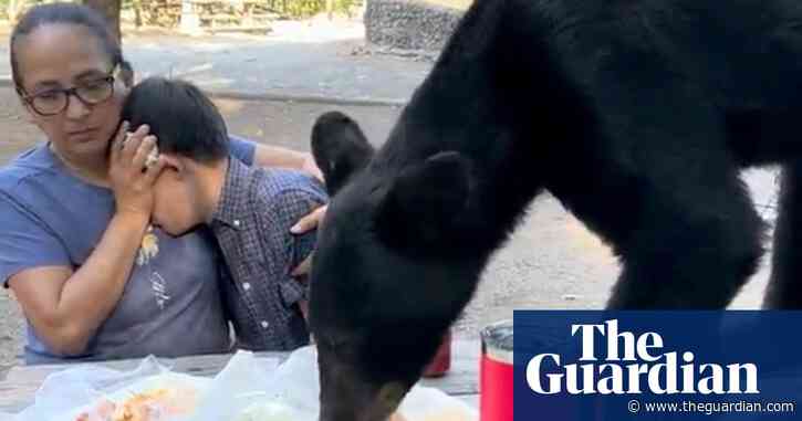 Woman shields son from black bear eating birthday picnic in Mexico