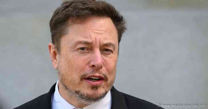 Musk Can't Take It Anymore, Declares He's Going to the Border: We 'Need a Wall'