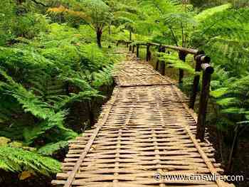 Unveiling the Power of Customer Journey Orchestration