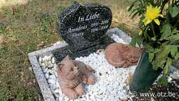 Ein Tierfriedhof für Jena: Stadtrat möchte mögliche Standorte überprüfen lassen