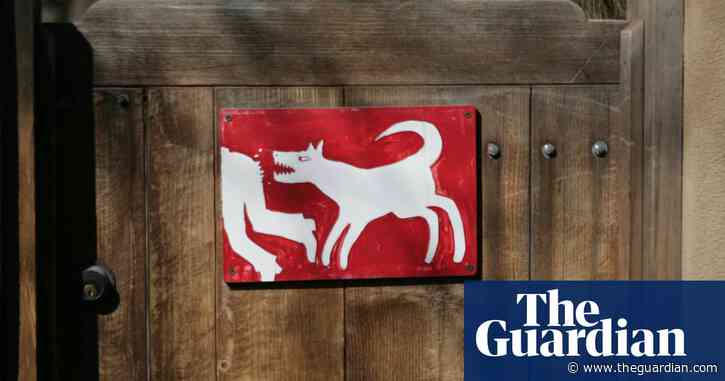 ‘I pulled my sock down and saw blood’: drivers for Amazon in US complain of dog attacks