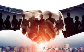 Partners& takes on Hall Insurance Services