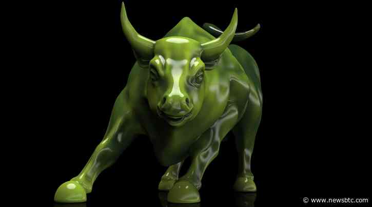 Maker (MKR) Inks 20% Price Advance, Leads Top 50 Coins Today