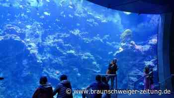 100 Jahre Steinhart Aquarium: Geldspender aus Bayern
