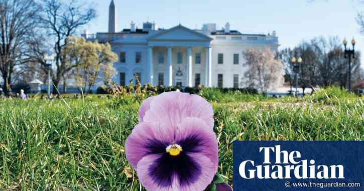 ‘Nature embraces queer people’: inside the Kew show about the LGBTQ+ side of plants