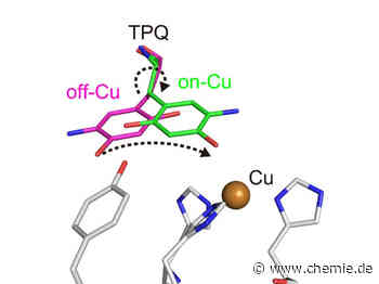 Bildgebung der kleinsten Atome gibt Einblicke in die ungewöhnliche Biochemie eines Enzyms