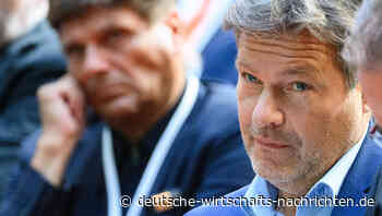 Hausbesitzer sollen Heizung mieten, um Klima zu retten