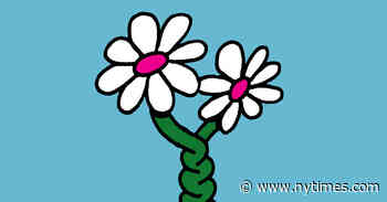 Audiobook Review: ‘Gone Tonight,’ by Sarah Pekkanen