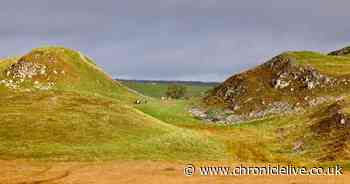 Sycamore Gap tree arrest update: Boy, 16, released on bail as police investigation continues