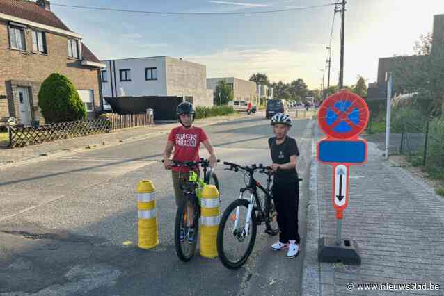 Proefproject met paaltjes in Weegse niet enthousiast onthaald: “Remmen snelheid van automobilisten af, maar verhogen het gevaar voor fietsers”