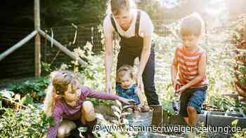 Diese giftigen Pflanzen im Garten sollten Eltern kennen