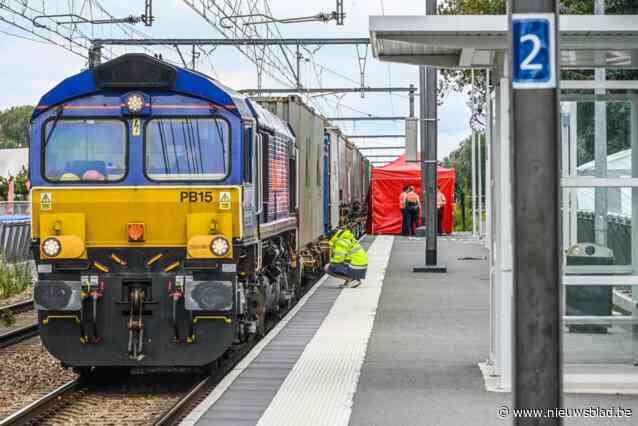 Na dodelijk ongeval: zitbanken moeten rechtstreekse toegang tot sporen bij station in Diepenbeek verhinderen
