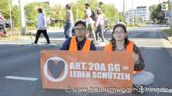 AfD kämpft gegen Klima-Kleber – Peiner Rat lehnt Beratung ab