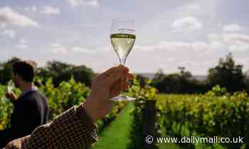 Cheers to that! English wine is set for a record harvest thanks to a mild spring and sunny September