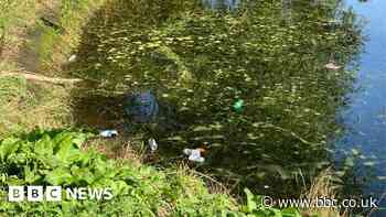 Coventry head teacher's concern at drug-dealing near school
