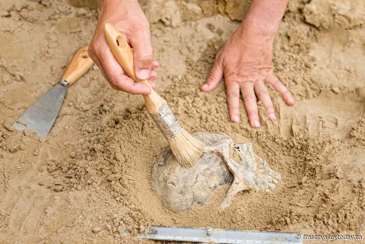 Human ‘Skull Cup’ Has Been Discovered In Spanish Cave