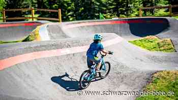 Beim Kindergarten: Für neuen Pumptrack muss wohl Wald weg