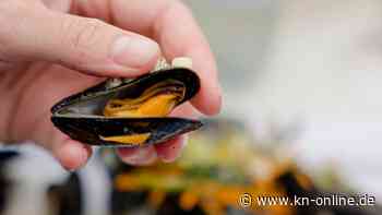 Nabu für Verbot: Miesmuschel-Fischerei in Flensburger Förde