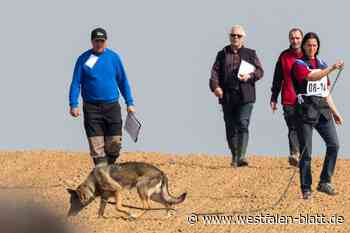 Hunde gehen auf Fährtensuche in Stemwede
