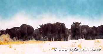 Publication details comparison study on winter cow care