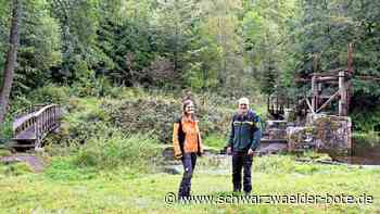 Viele Aufgaben: Ansprüche an den Wald haben auch um Bad Wildbad zugenommen