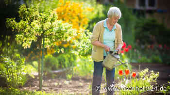 Mehr Geld für die Rente: Rentenpunkte kaufen und sorgenfrei in den Ruhestand