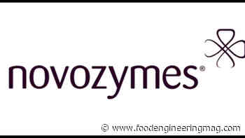 Novozymes Launches Product for Plant-based Meat Sector