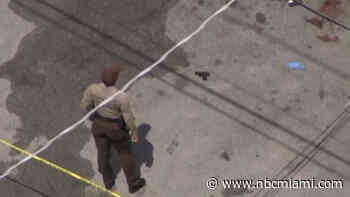 Miami-Dade Police shoot armed man who reportedly opened fire outside grocery store