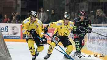 Tölzer Löwen: Ganz dicht dran