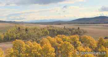 ‘Advanced application’ for Rocky Mountain coal mine stirs controversy