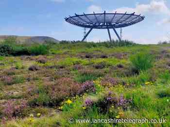 Rossendale ranked top place for walking in new report