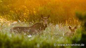 Herbsturlaub in Estland: Die schönsten Ziele in der Natur